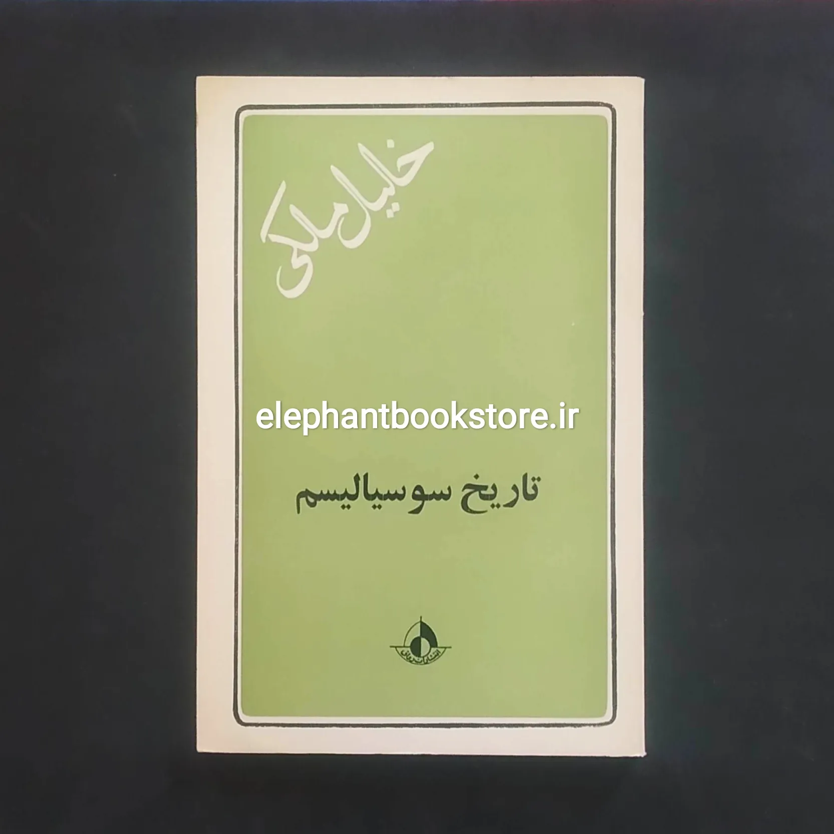 خرید کتاب تاریخ سوسیالیسم اثر خلیل ملکی انتشارات رواق