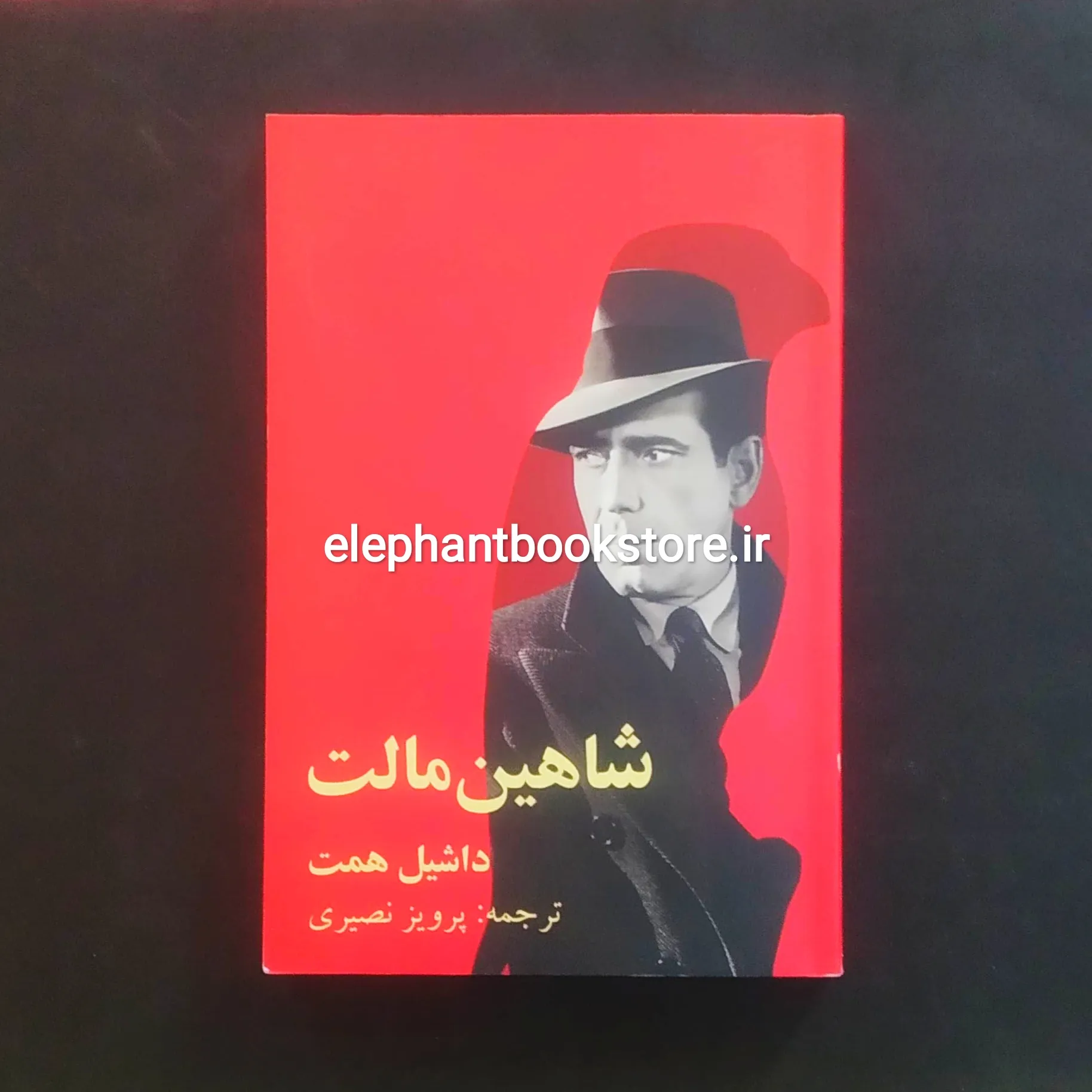 کتاب شاهین مالت اثر داشیل همت خرید کتاب شاهین مالت اثر داشیل همت انتشارات روزنه کار