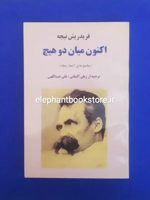 خرید کتاب اکنون میان دو هیچ (مجموعه اشعار نیچه) نشر نارنج