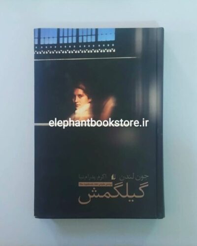 خرید کتاب گیلگمش اثر جون لندن نشر افق